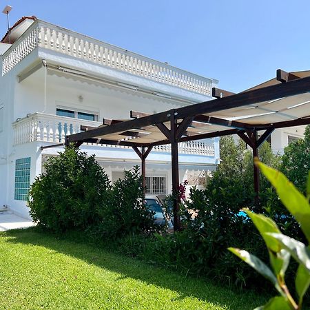 Villa Vave Nea Iraklia Exterior photo